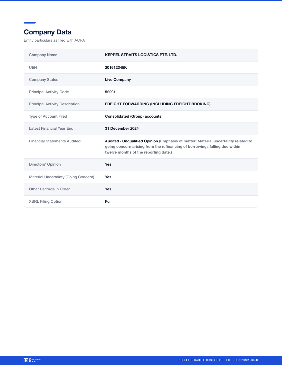 Company data page from a Companies House Singapore Financial Report